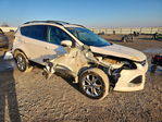 Ford Escape 2013