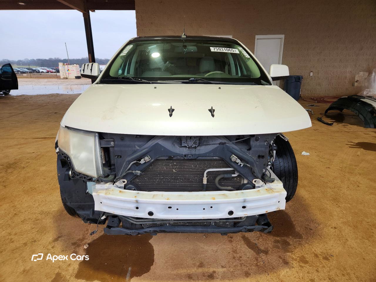 Ford Edge 2010