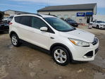 Ford Escape 2014