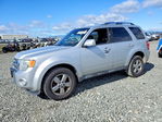 Ford Escape 2012