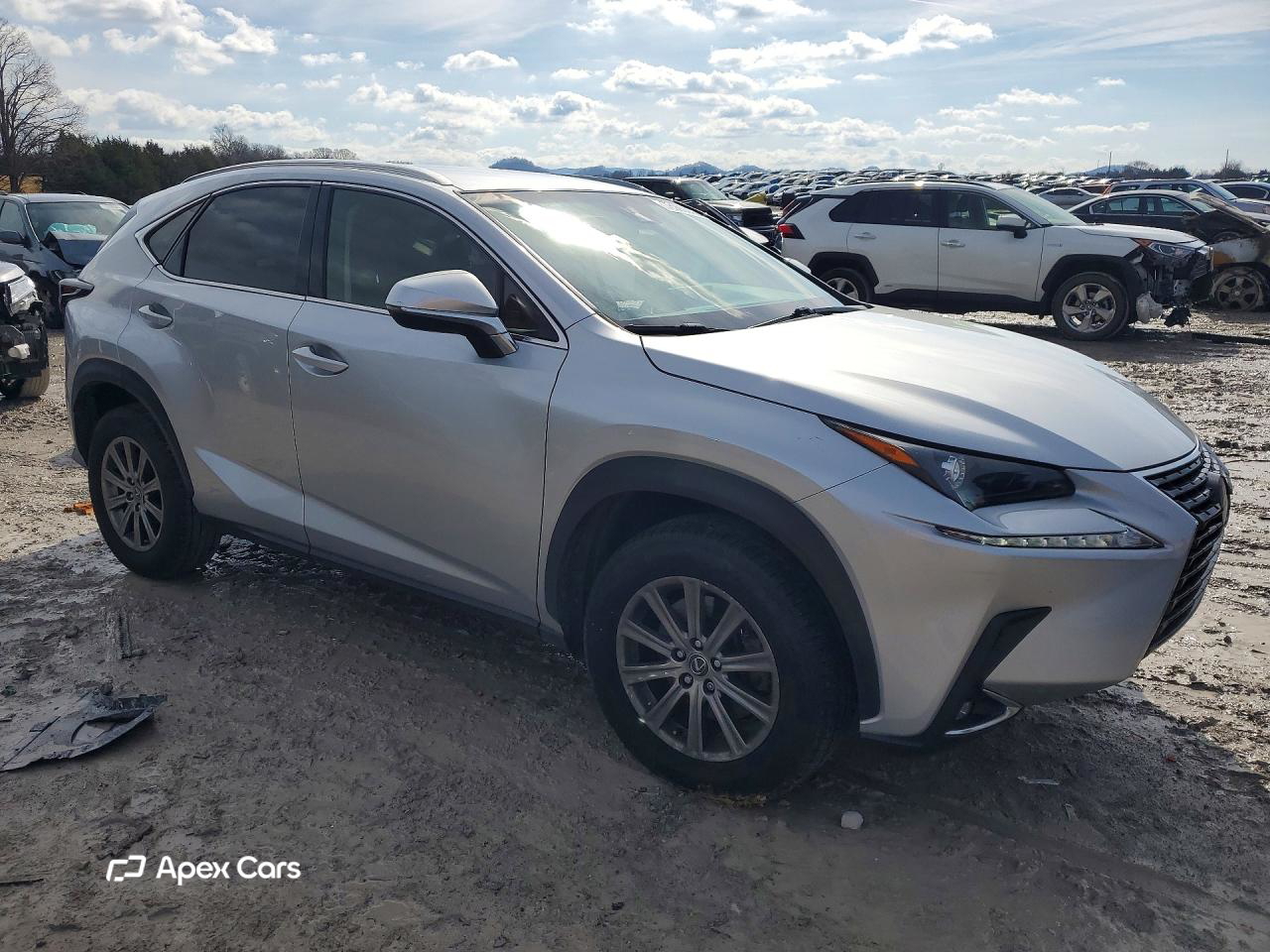 Lexus NX 2019