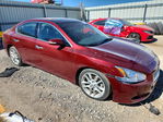 Nissan Maxima 2010
