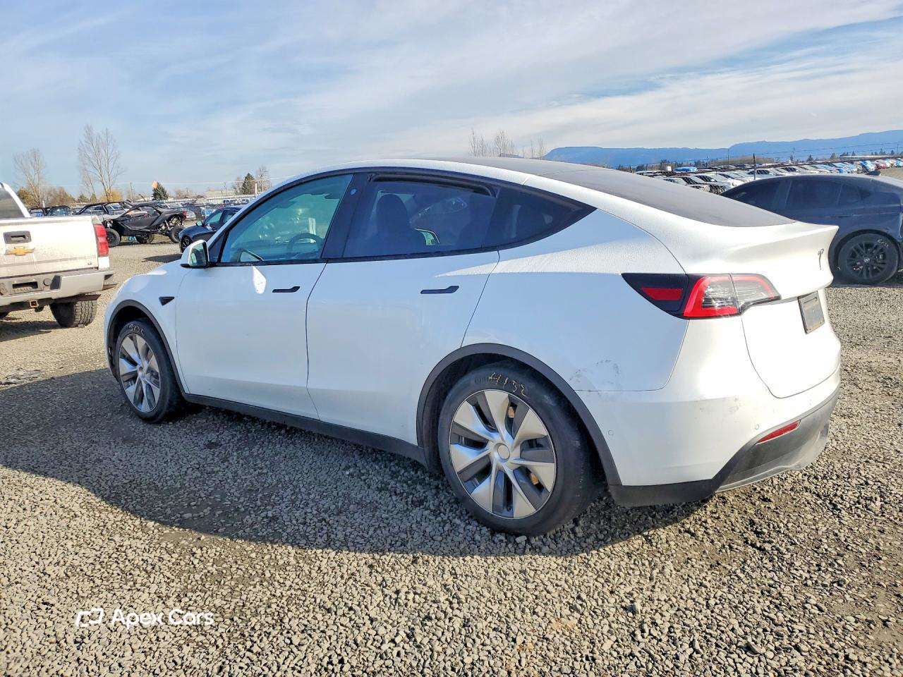 Tesla Model Y 2020