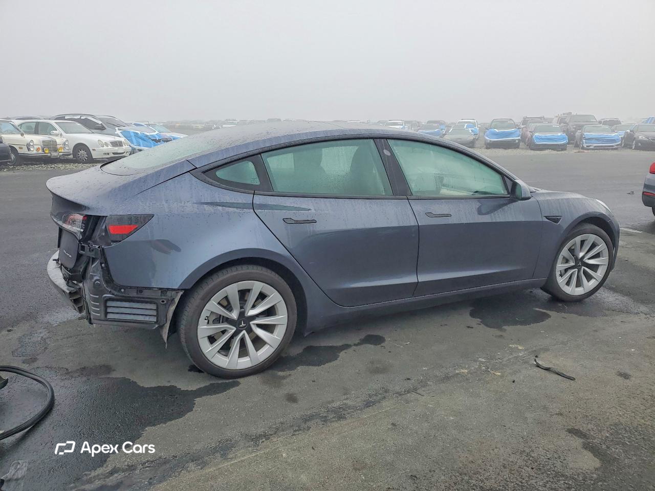 Tesla Model 3 2023