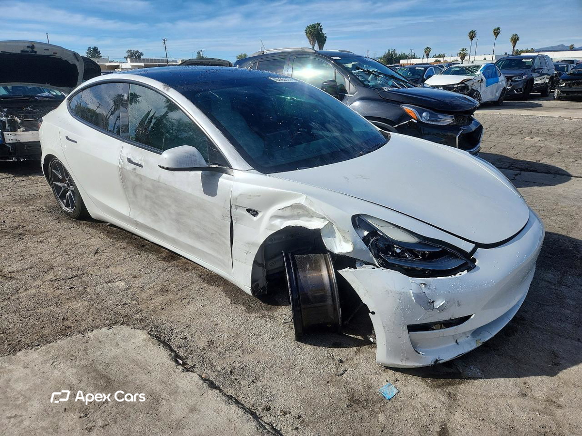 Tesla Model 3 2021