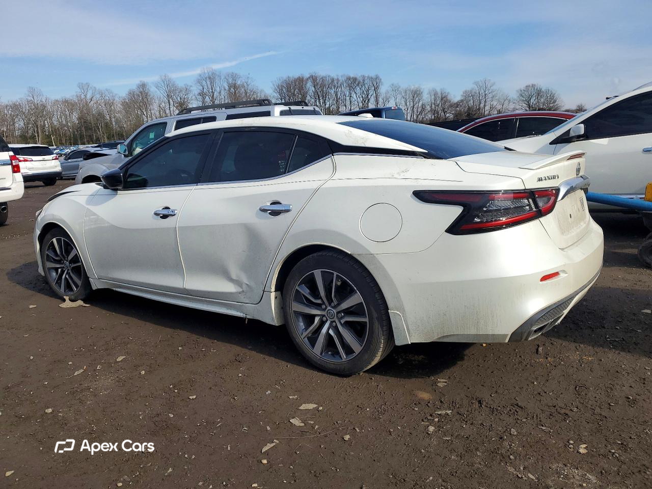 Nissan Maxima 2019