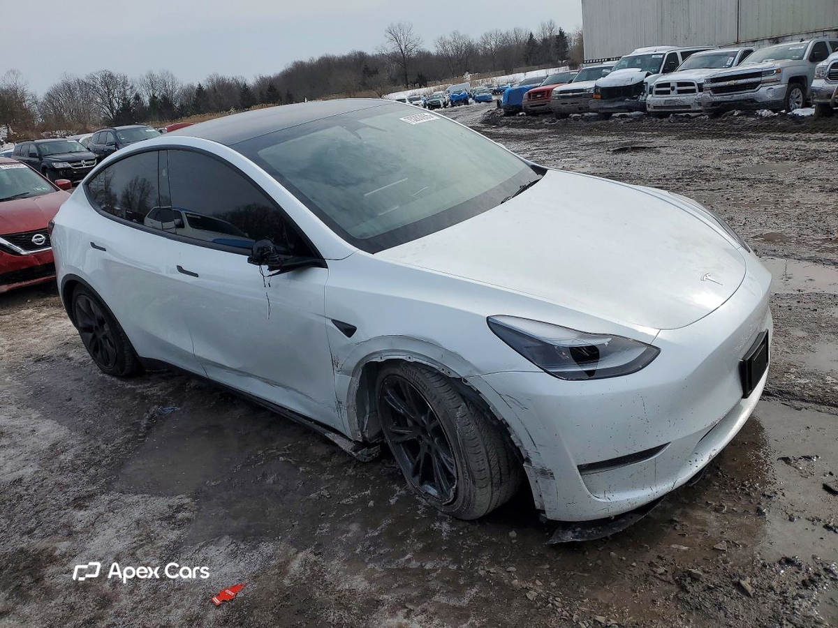 Tesla Model Y 2025