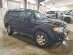 Ford Escape 2012