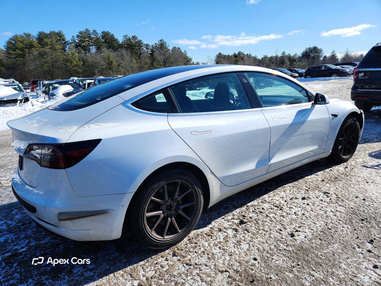 Tesla Model 3 2019
