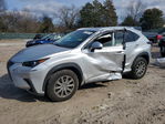Lexus NX 2019