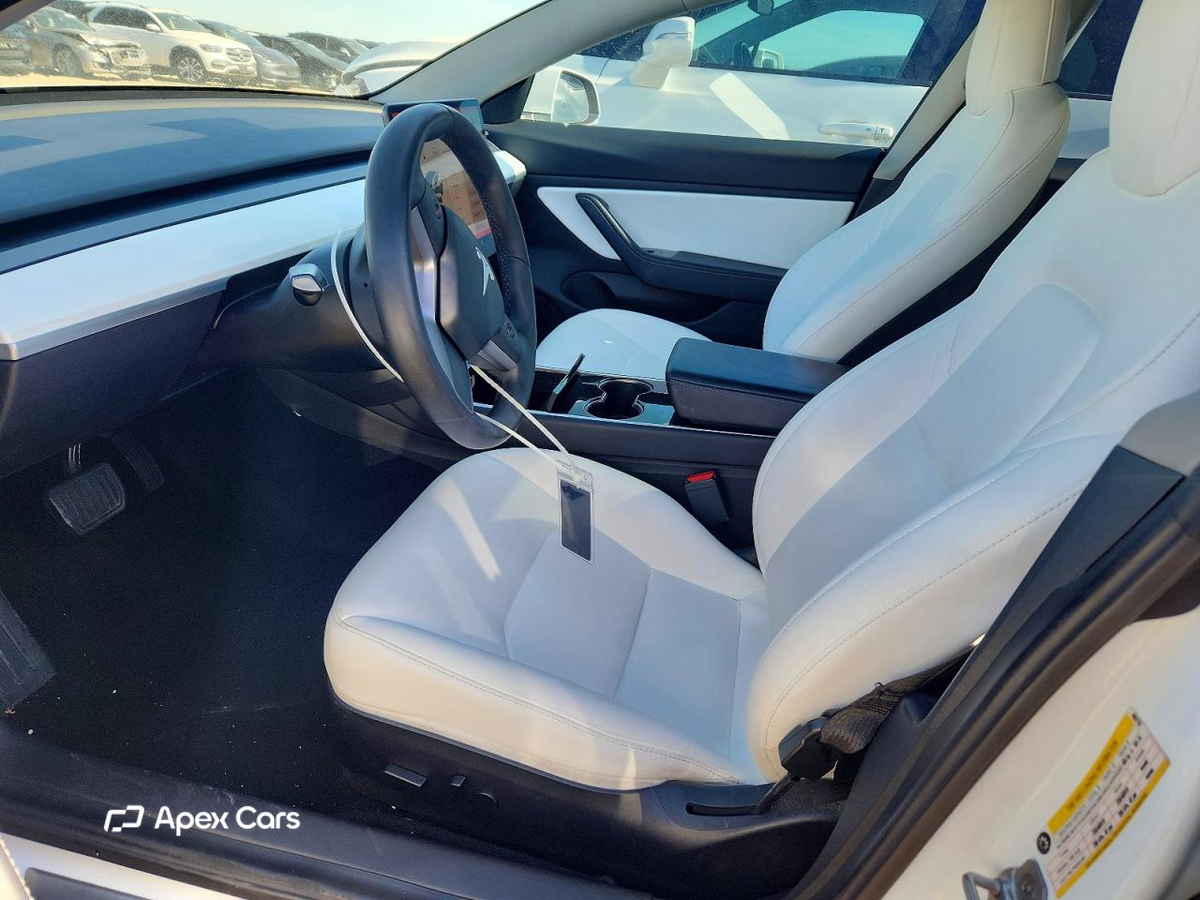 Tesla Model 3 2019