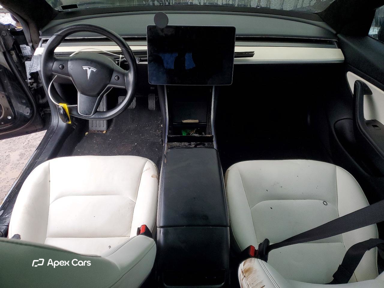 Tesla Model 3 2019
