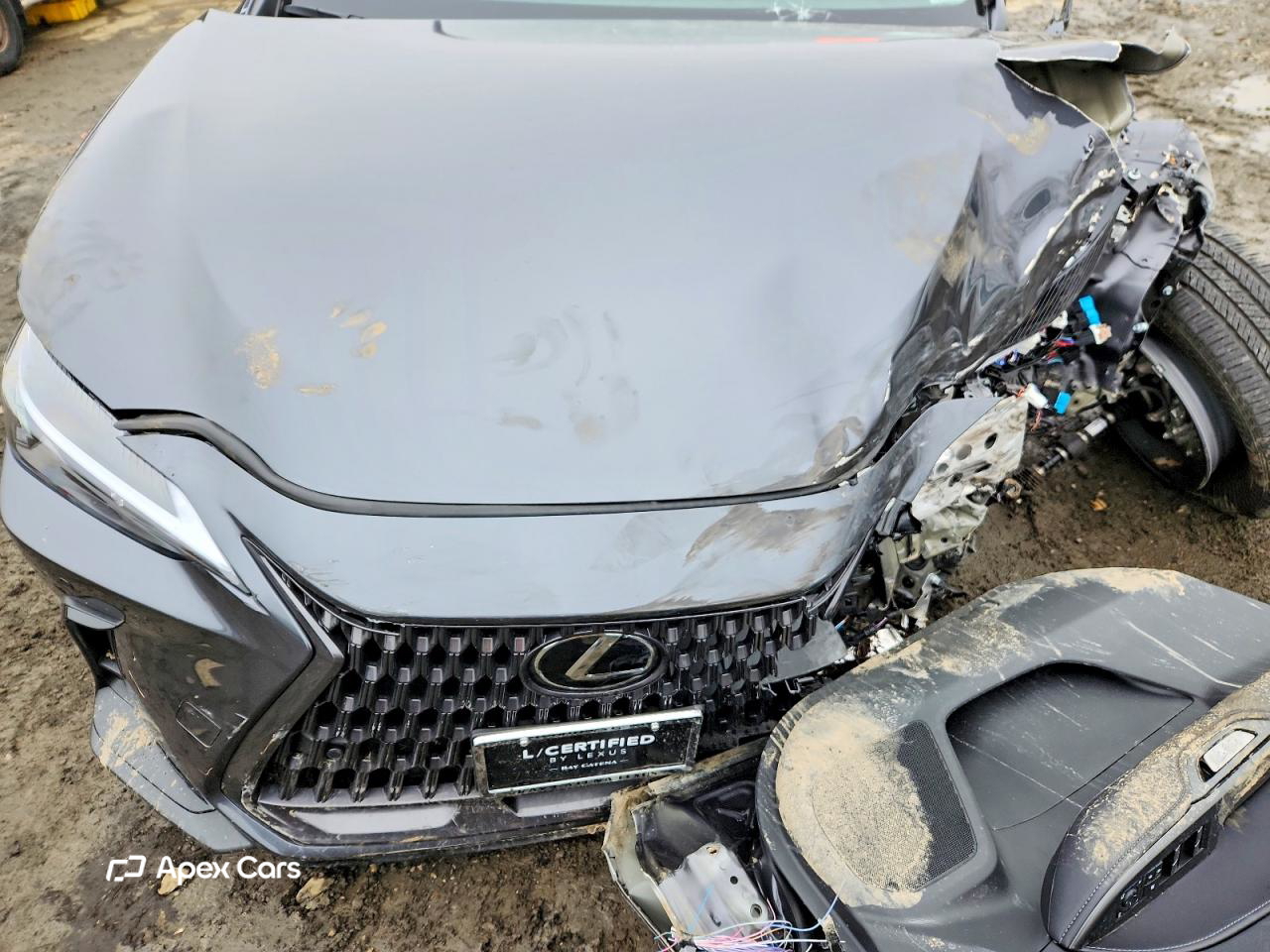 Lexus NX 2025