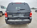 Ford Escape 2011