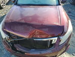 Honda Accord 2010