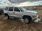 Dodge Durango 1999