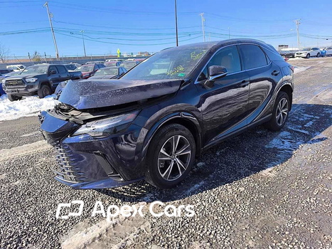 Lexus RX 2024 - Image 1 of 14