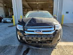 Ford Edge 2014