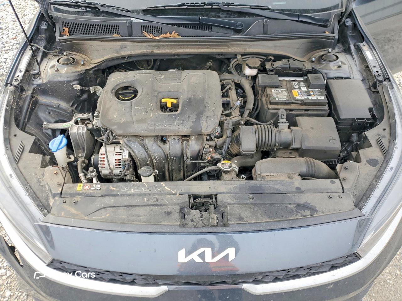 Kia Forte 2024