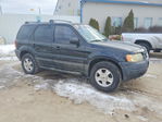Ford Escape 2003