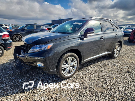 Lexus RX 2011 - Image 1 of 12