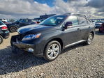 Lexus RX 2011