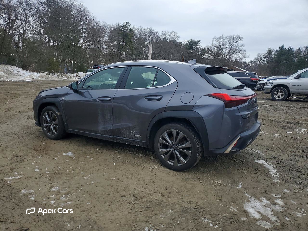 Lexus UX 2019