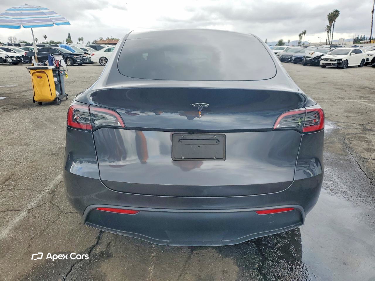 Tesla Model Y 2024