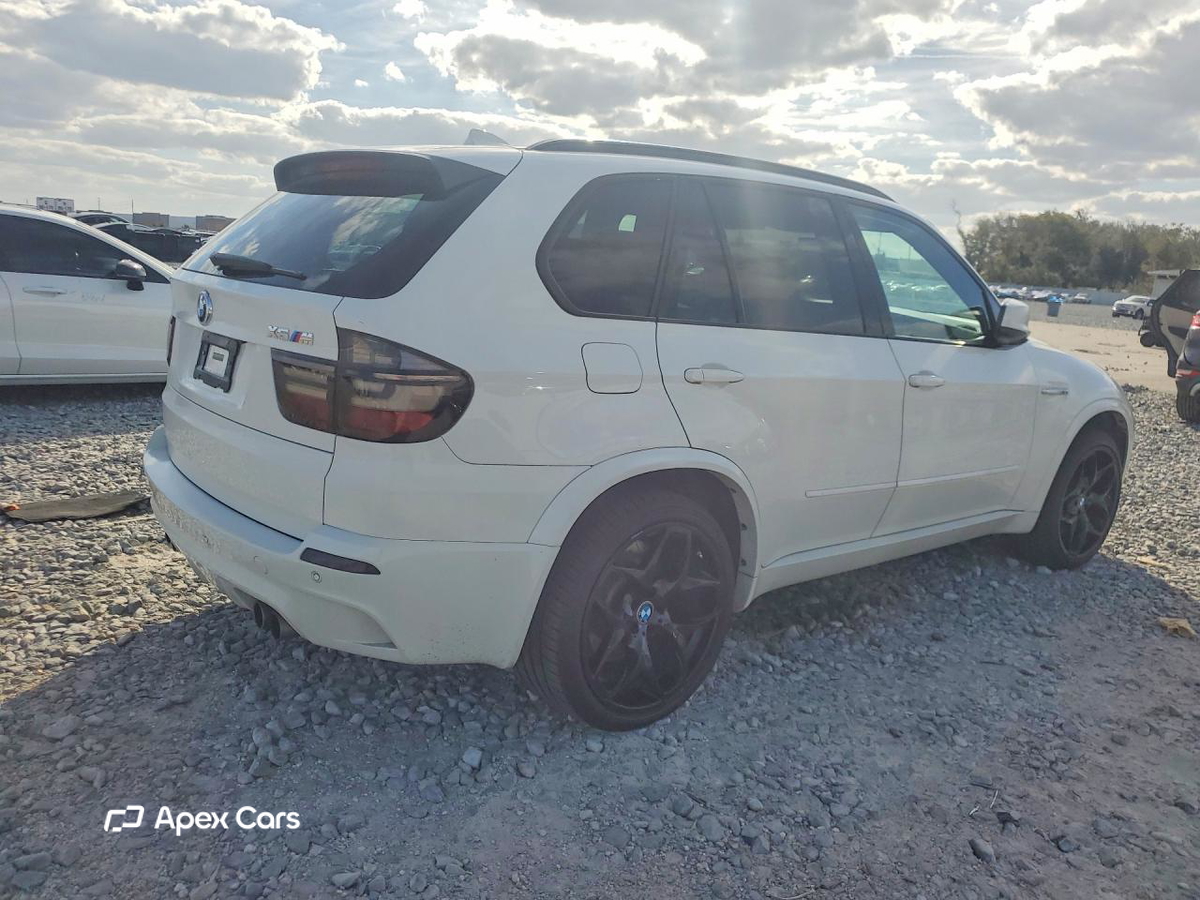 BMW X5 2010