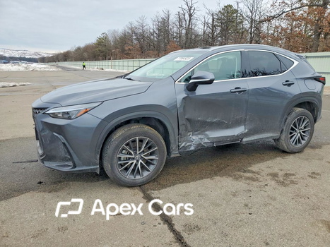 Lexus NX 2024 - Zdjęcie 1 z 14