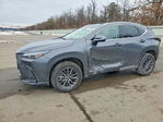 Lexus NX 2024