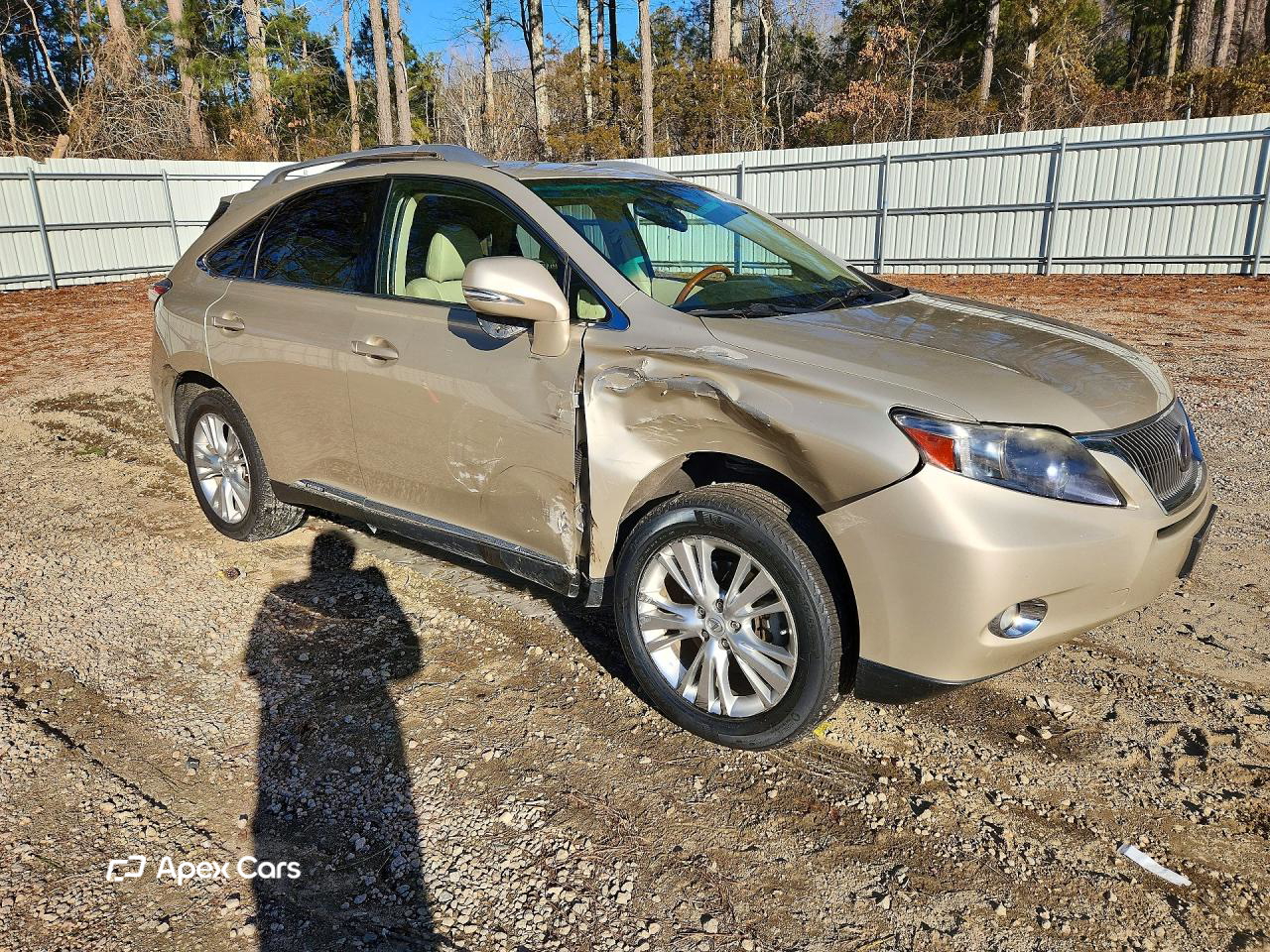 Lexus RX 2011