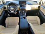 Lexus NX 2019
