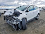 Ford Escape 2013