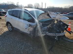 Ford Escape 2013