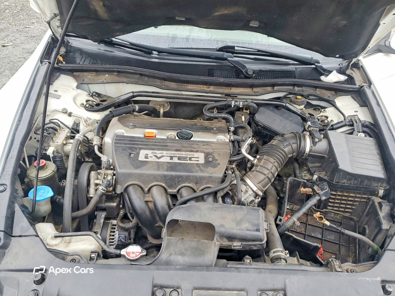 Honda Accord 2008