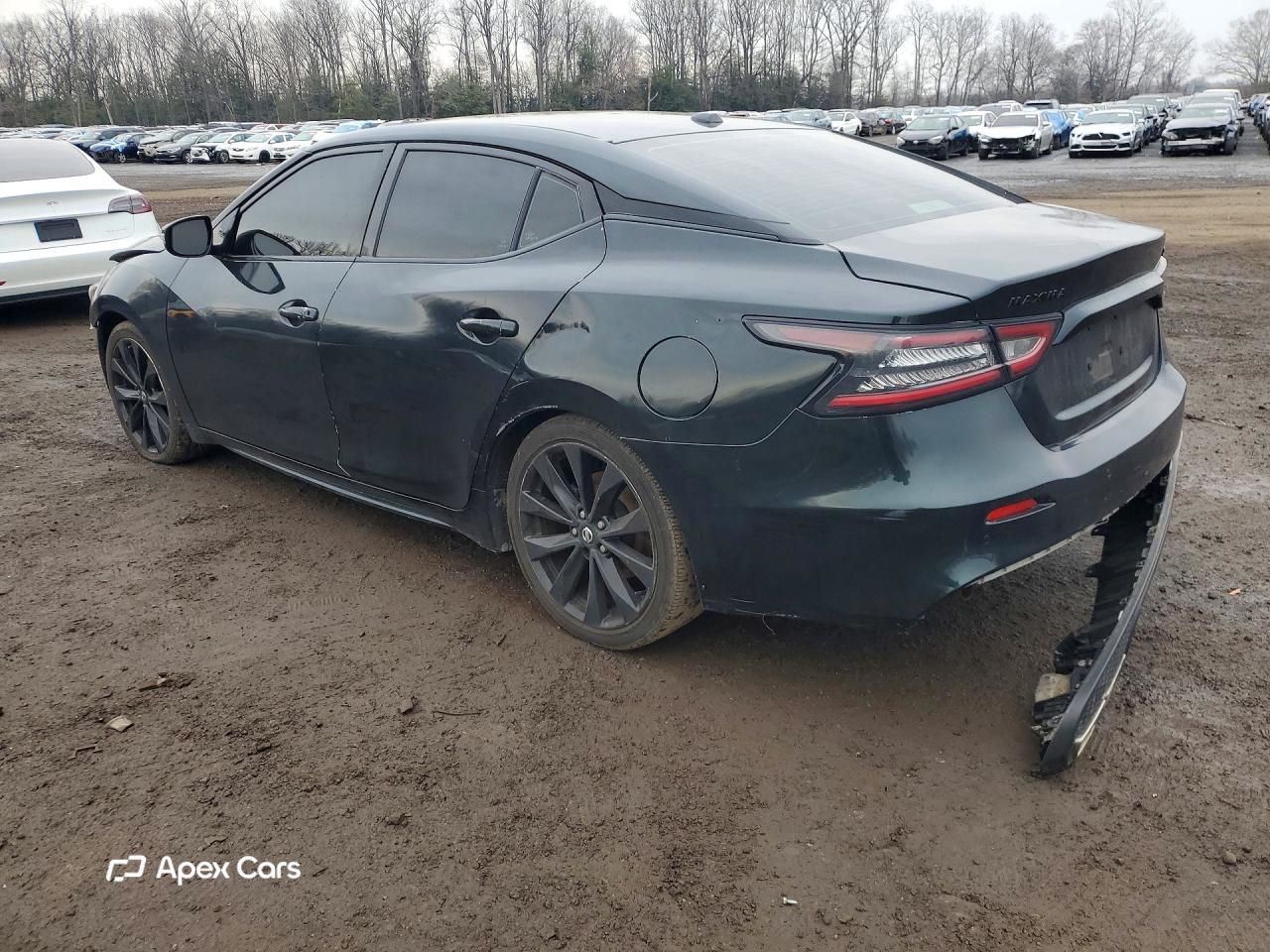 Nissan Maxima 2021