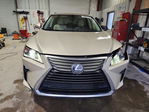 Lexus RX 2017