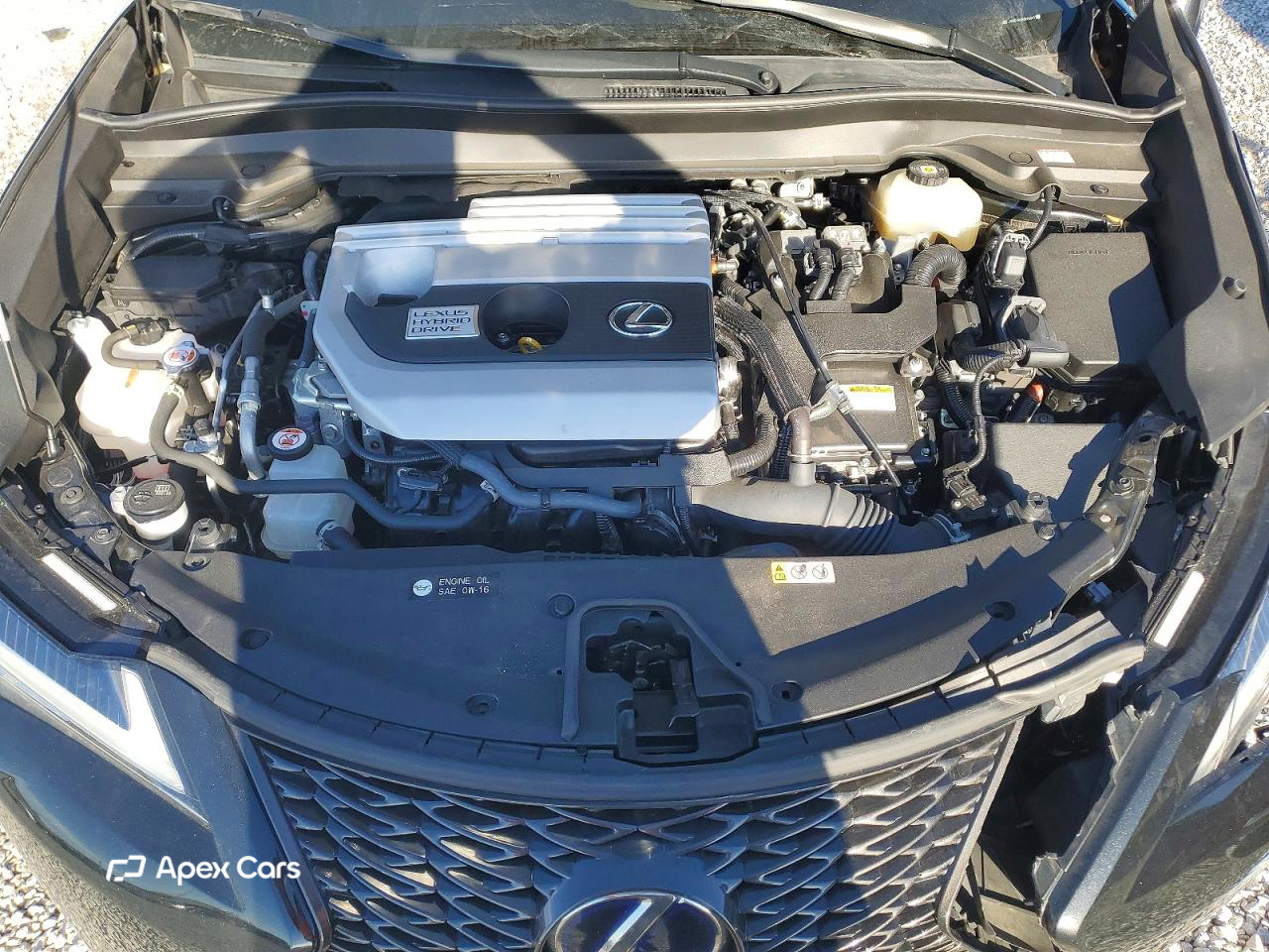Lexus UX 2022