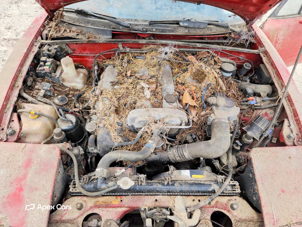 Mazda MX-5 1991