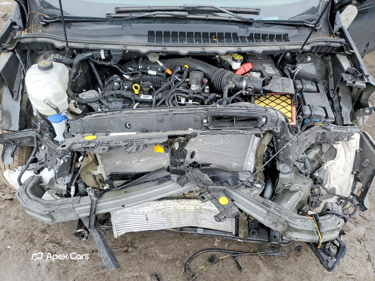 Ford Edge 2024