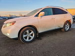 Lexus RX 2010