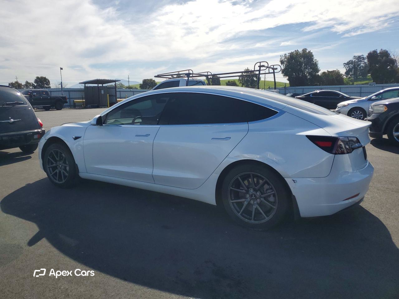 Tesla Model 3 2019