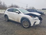 Lexus NX 2021