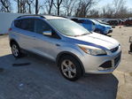 Ford Escape 2013