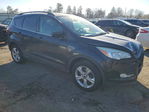 Ford Escape 2014