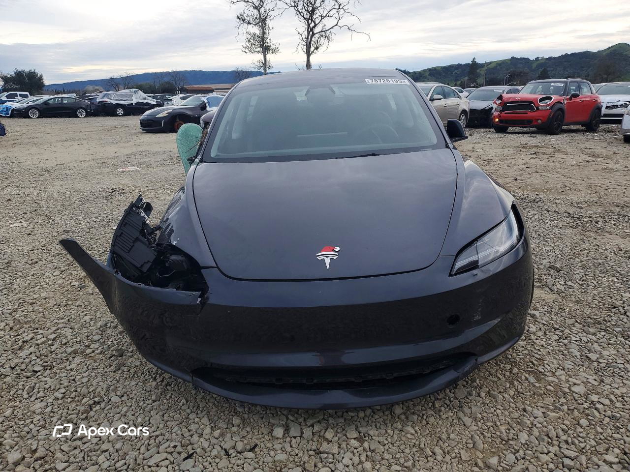 Tesla Model 3 2025