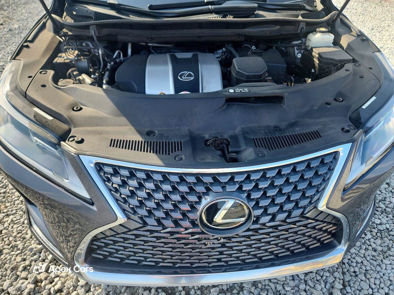 Lexus RX 2022