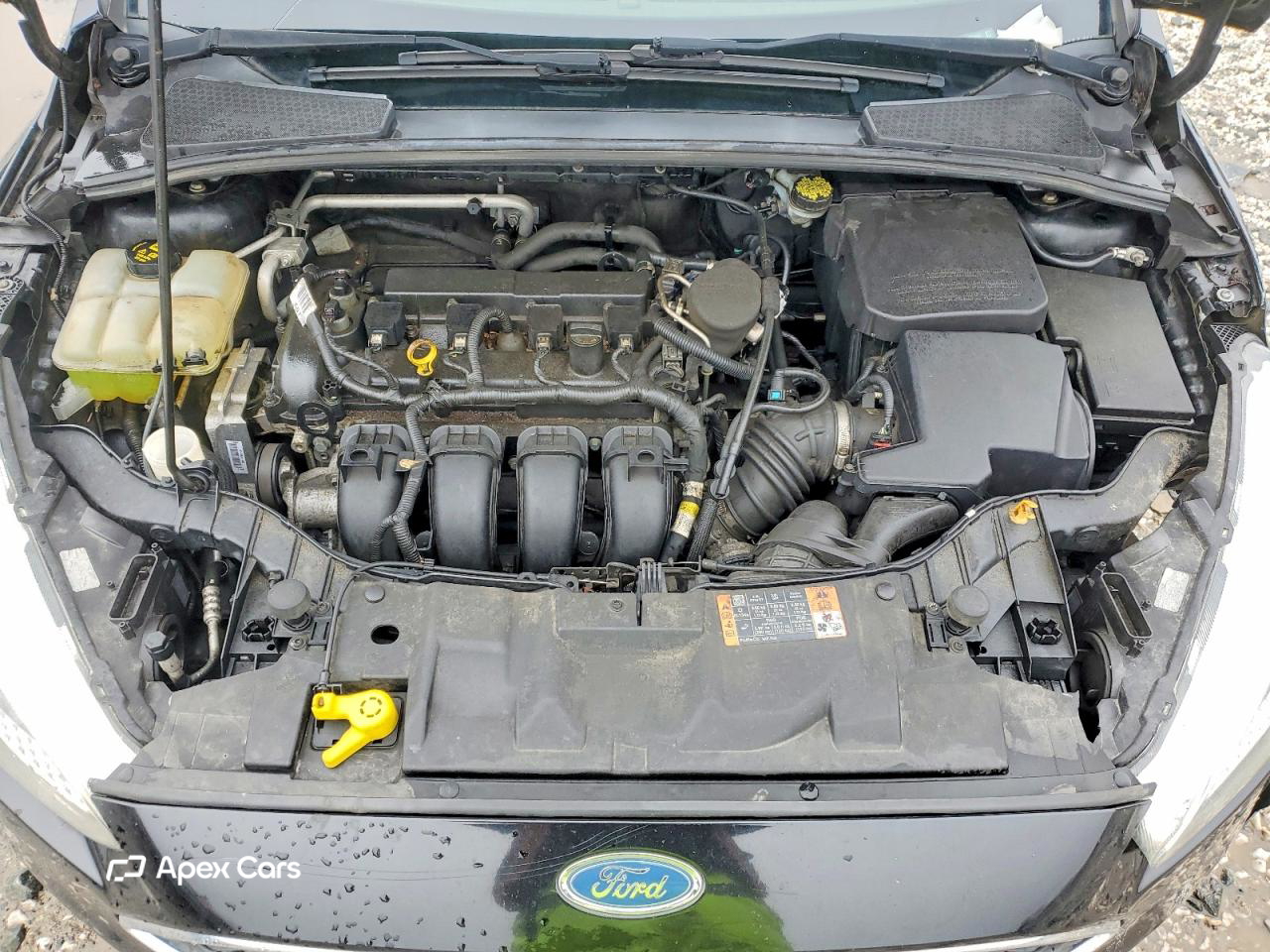 Ford Focus 2015