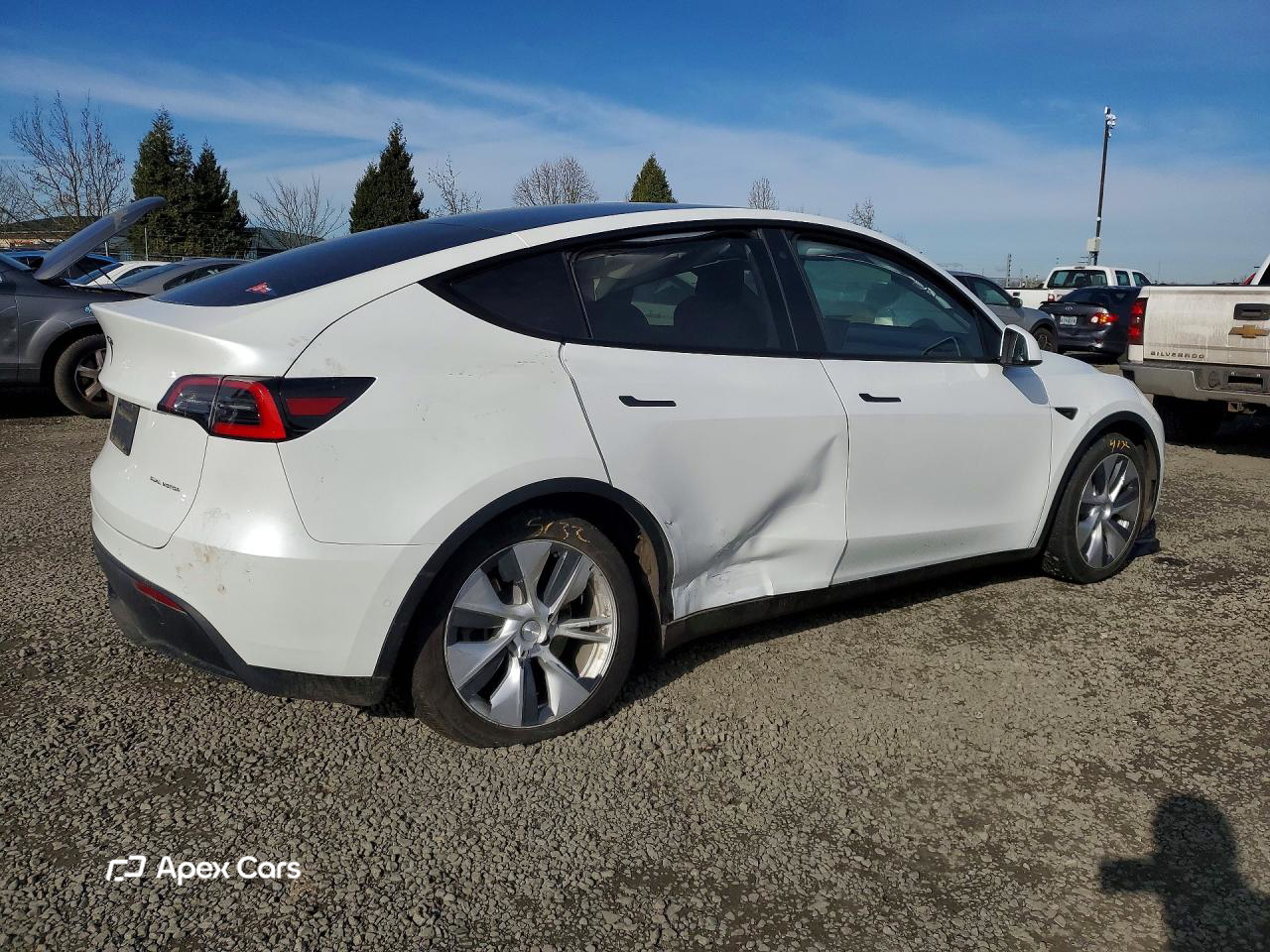 Tesla Model Y 2020